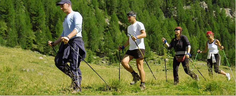 Nordic Walking Winterberg